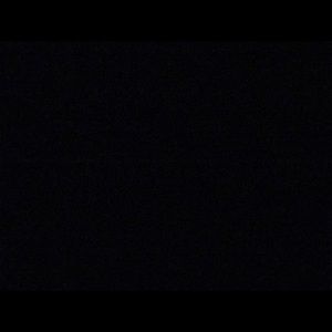 Meet your Posher, Riley